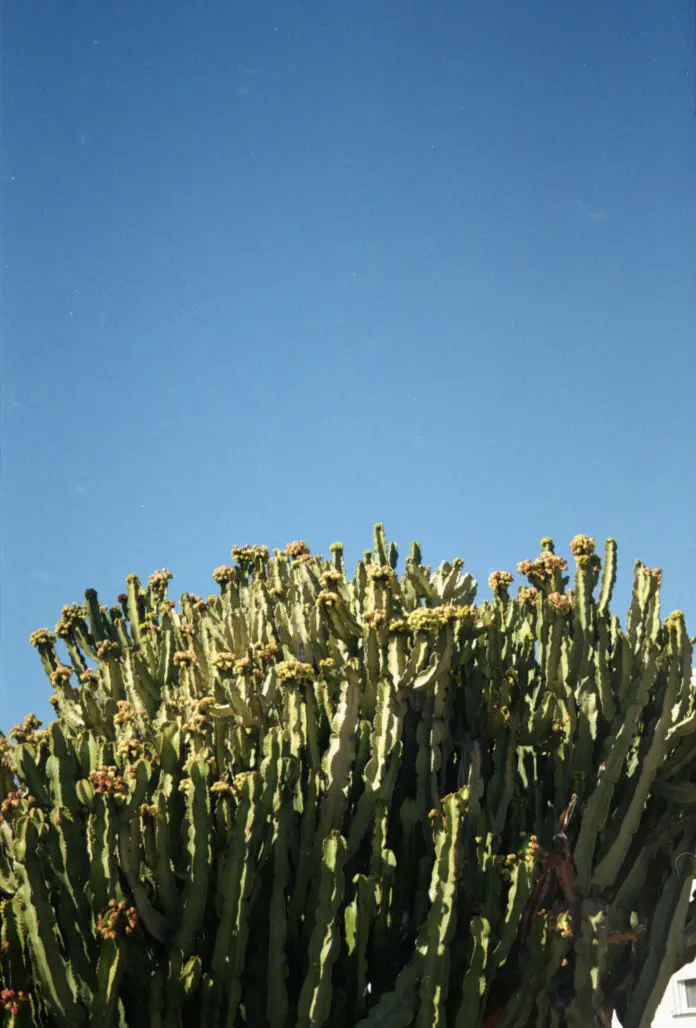 Islas Canarias, La Gomera